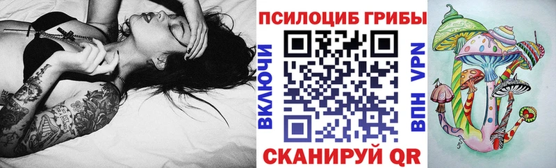 KRAKEN зеркало  Ейск  Псилоцибиновые грибы ЛСД  как найти закладки 
